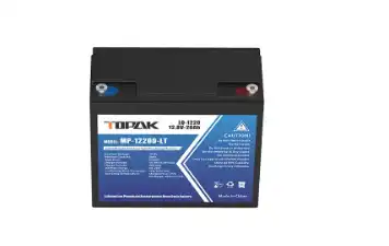 Affordable lifepo4 battery 12v 20ah with Warranty Support